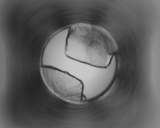 X0000092021417200710041035