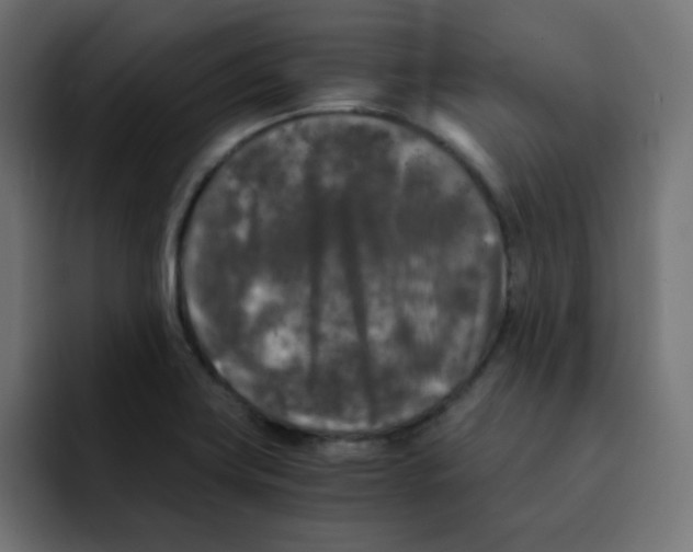 X0000092021419200710041035