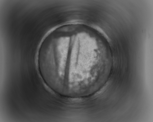 X0000092021421200710041035