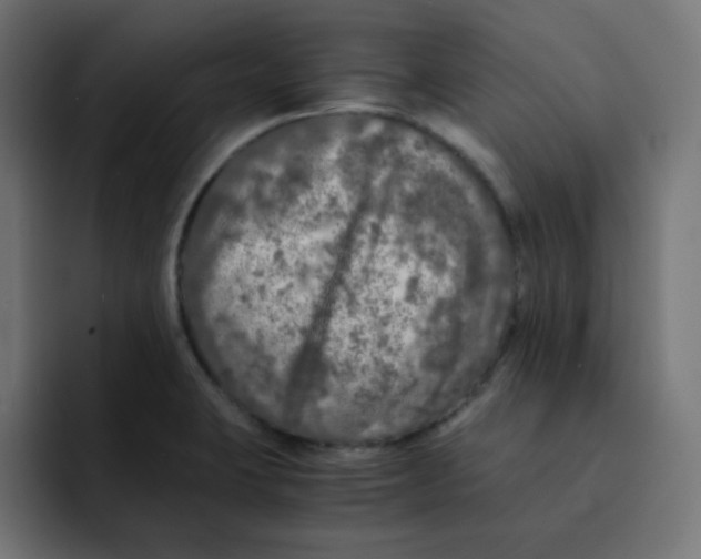 X0000092021423200710041035