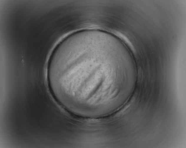 X0000092021424200710041035