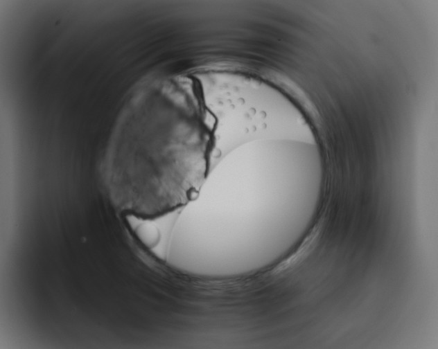 X0000092021425200710041035