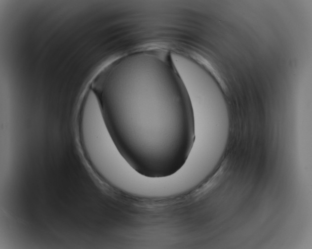 X0000092021426200710041035