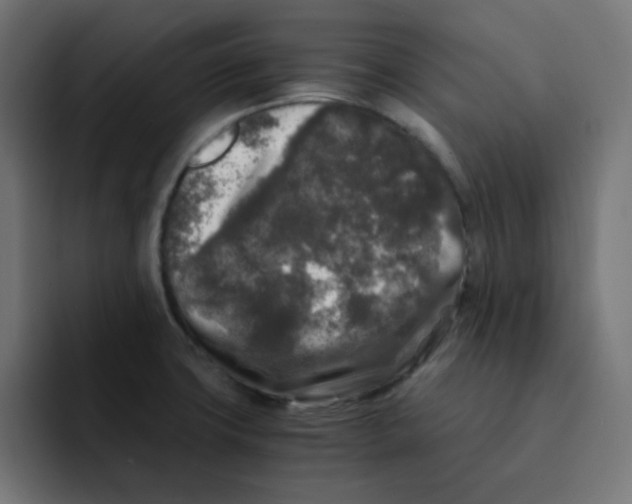 X0000092021427200710041035