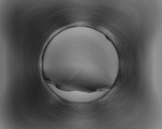 X0000092021428200710041035