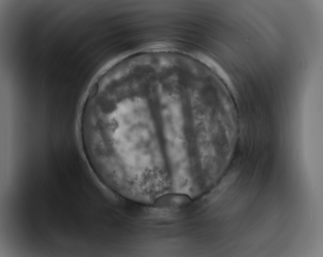 X0000092021429200710041035