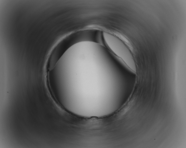 X0000092021430200710041035