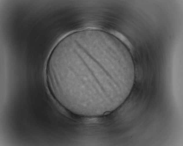 X0000092021431200710041035