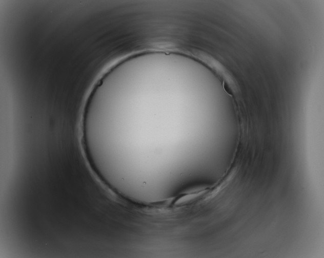 X0000092021432200710041035