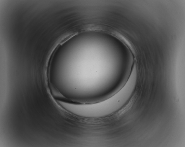 X0000092021434200710041035