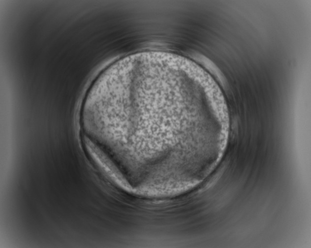 X0000092021435200710041035