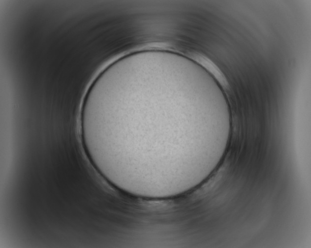 X0000092021436200710041035