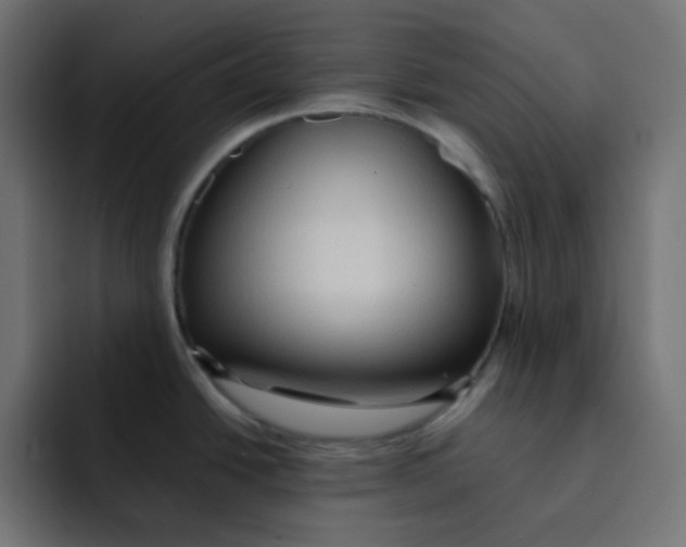 X0000092021438200710041035