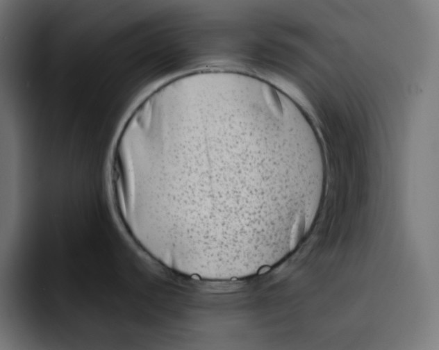 X0000092021440200710041036