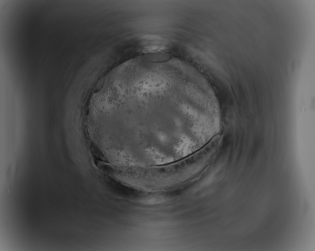 X0000092021441200710041035