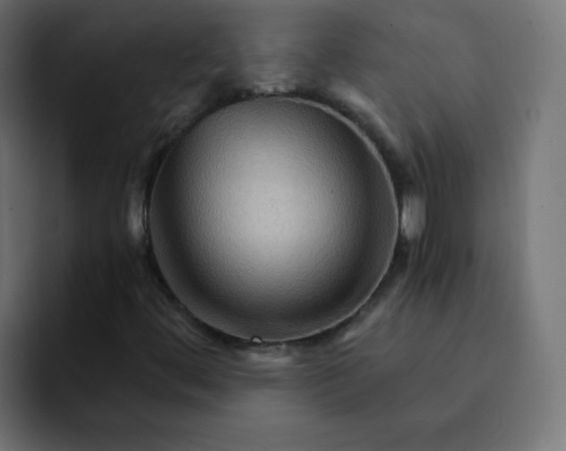 X0000092021444200710041035