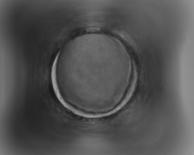 X0000092021445200710041035