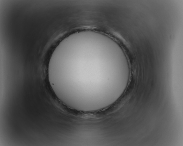 X0000092021448200710041035