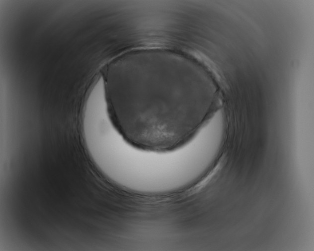 X0000092021449200710041035