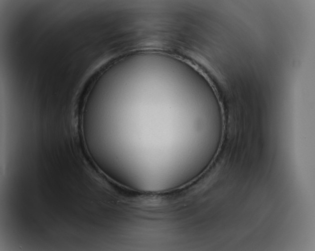 X0000092021450200710041035