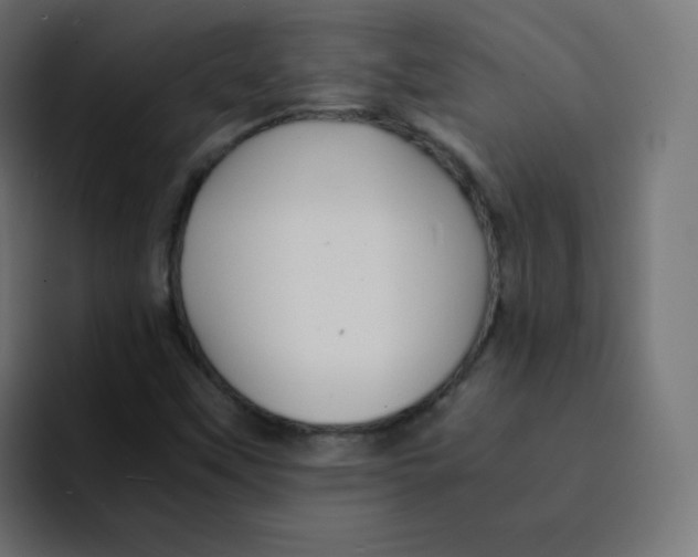 X0000092021451200710041035