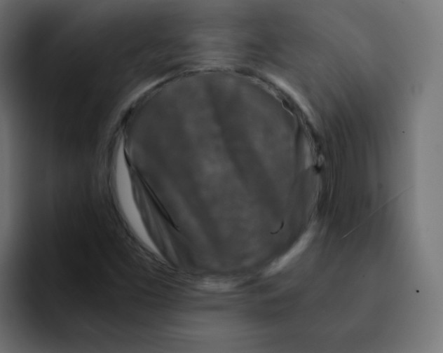 X0000092021453200710041035