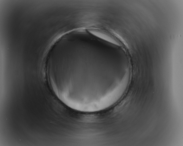 X0000092021455200710041035