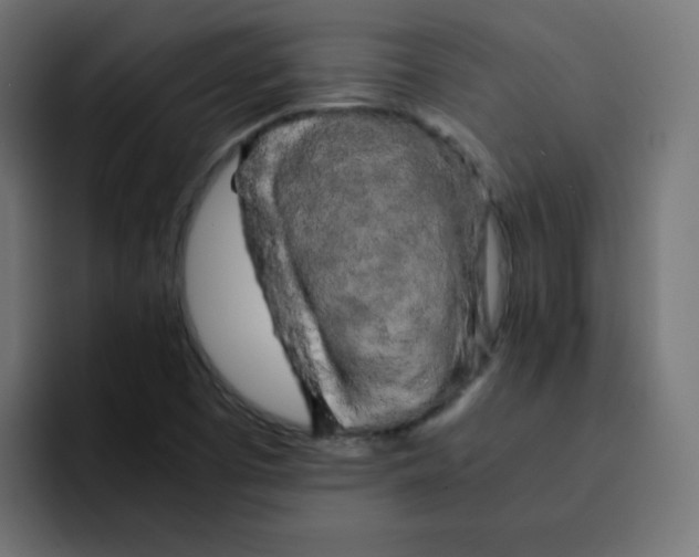 X0000092021457200710041035