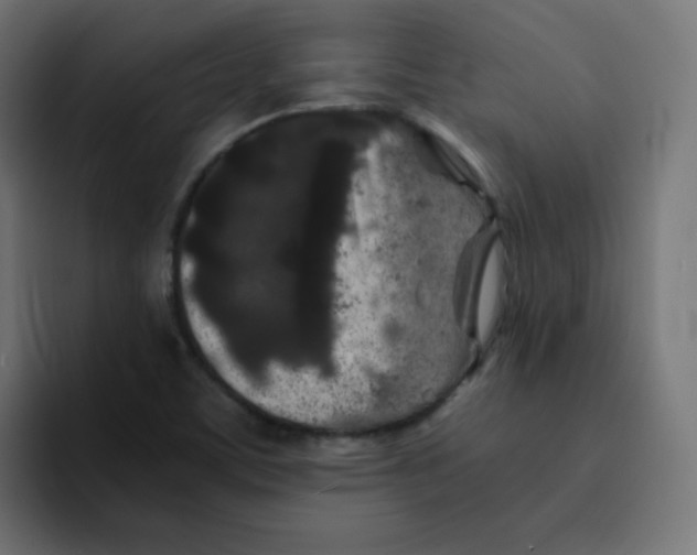 X0000092021459200710041035