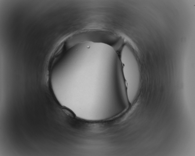 X0000092021461200710041035