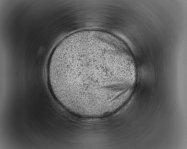 X0000092021467200710041035