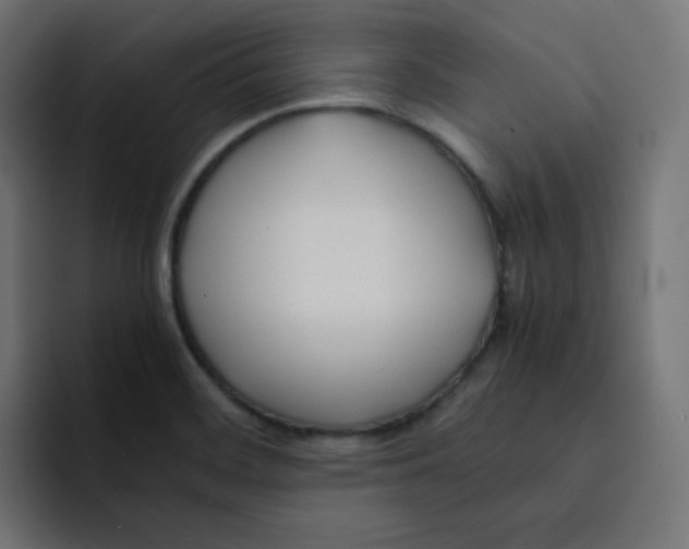 X0000092021468200710041035