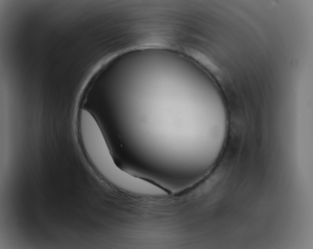 X0000092021469200710041035