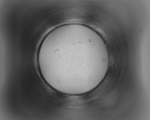 X0000092021470200710041035