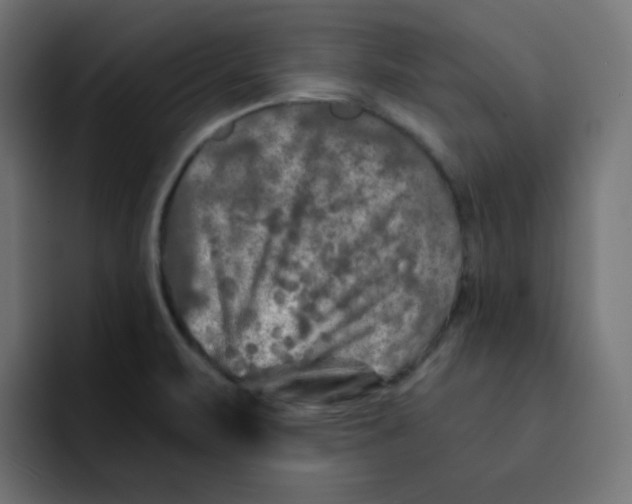 X0000092021471200710041035