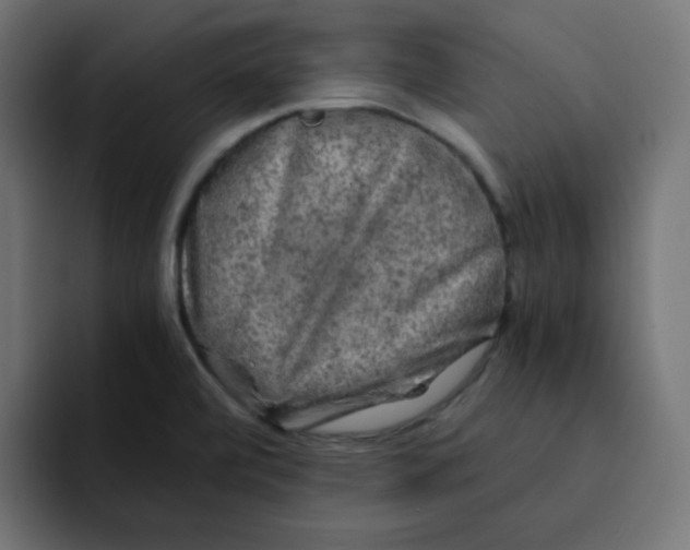 X0000092021472200710041035