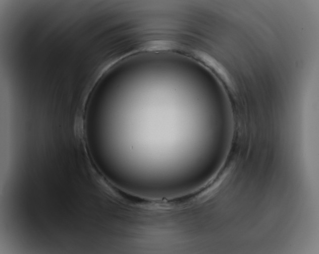 X0000092021473200710041035