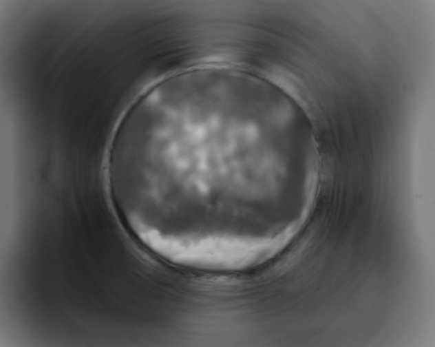 X0000092021474200710041035