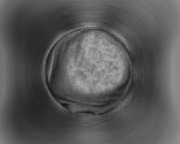 X0000092021475200710041035