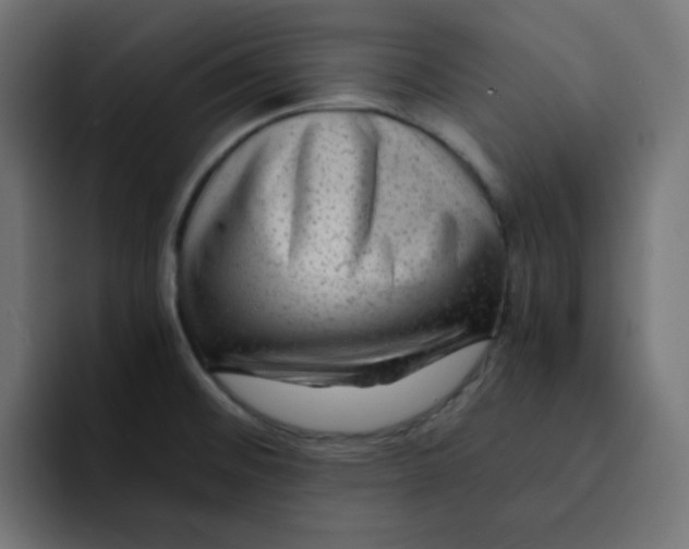 X0000092021476200710041035