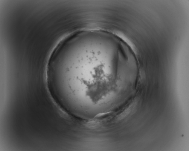 X0000092021477200710041035