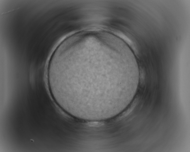 X0000092021478200710041035