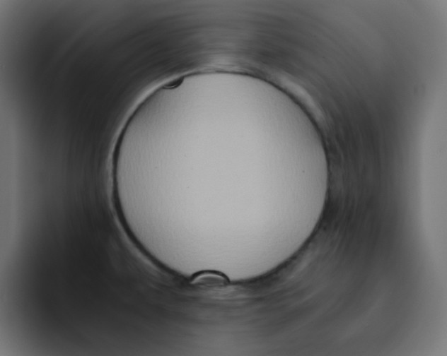 X0000092021479200710041035