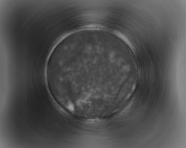 X0000092021482200710041034