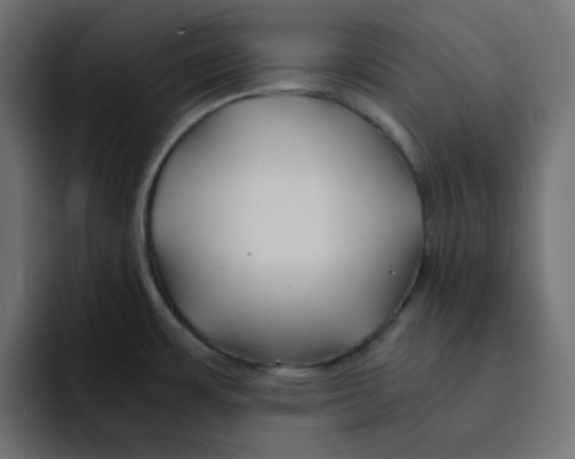 X0000092021483200710041034