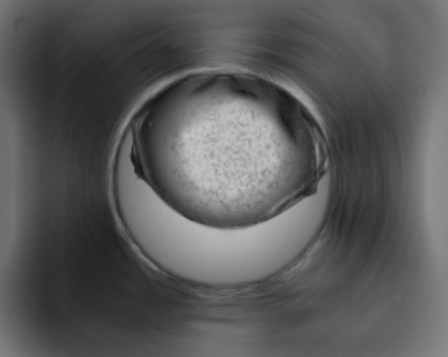 X0000092021485200710041034