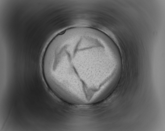 X0000092021488200710041034