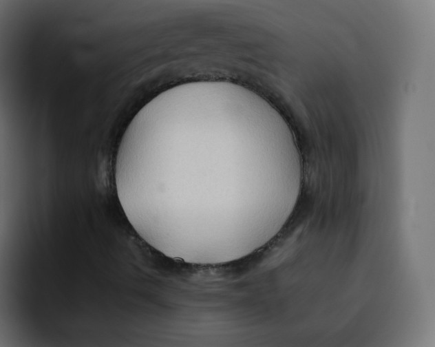 X0000092021490200710041034