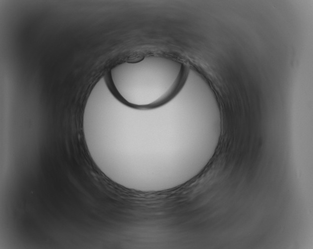 X0000092021492200710041034