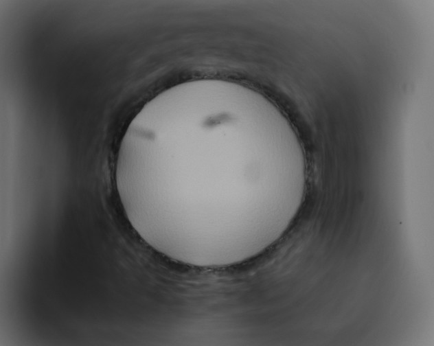 X0000092021493200710041034